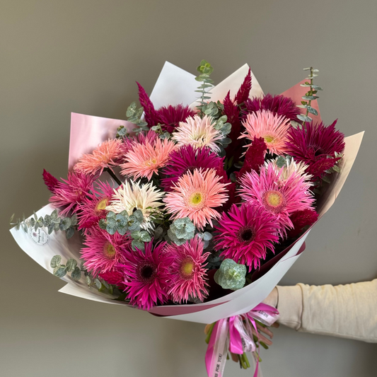 Gerbera