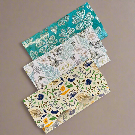 money envelope , naudas aploksne